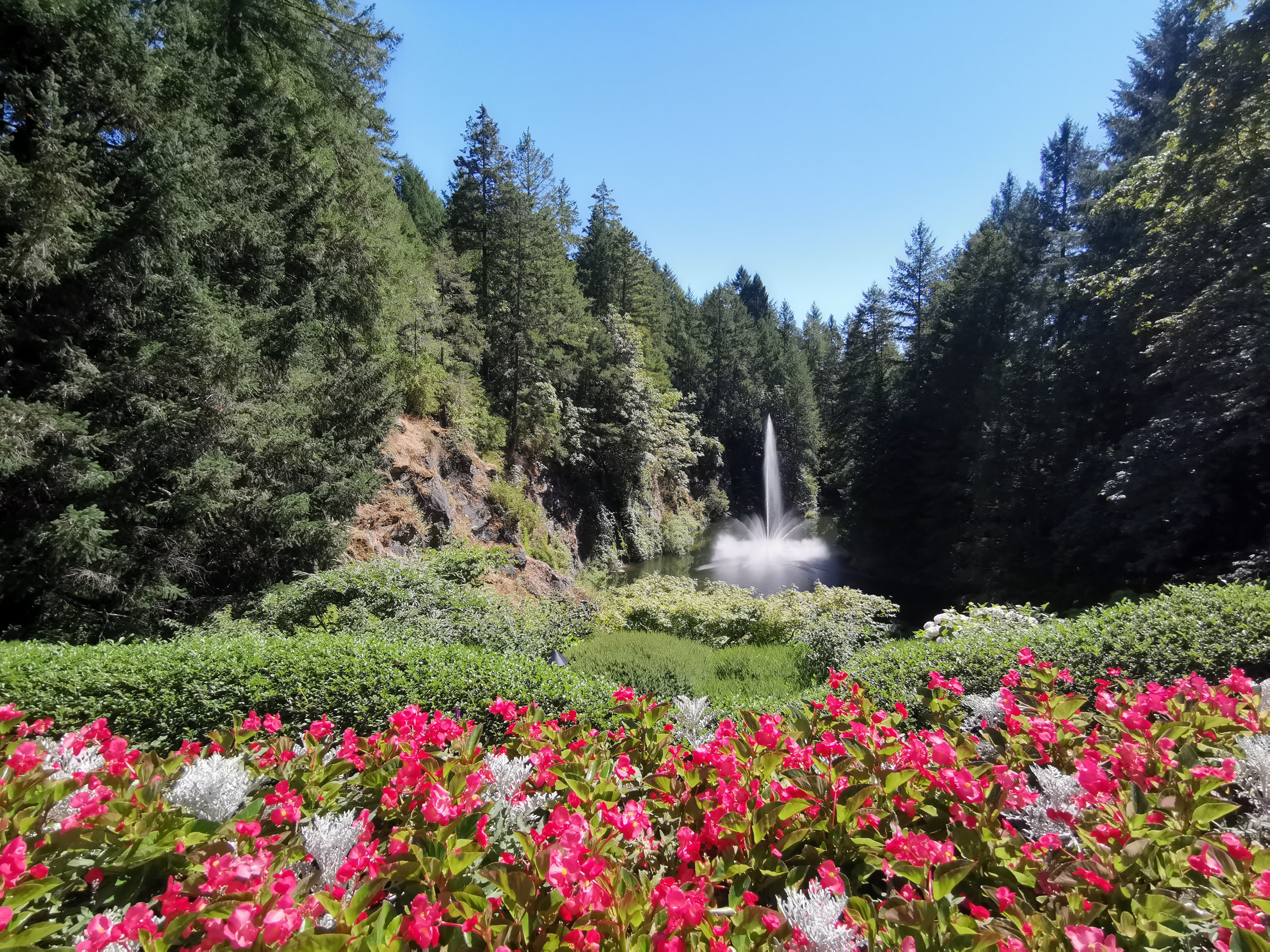 Butchart Gardens