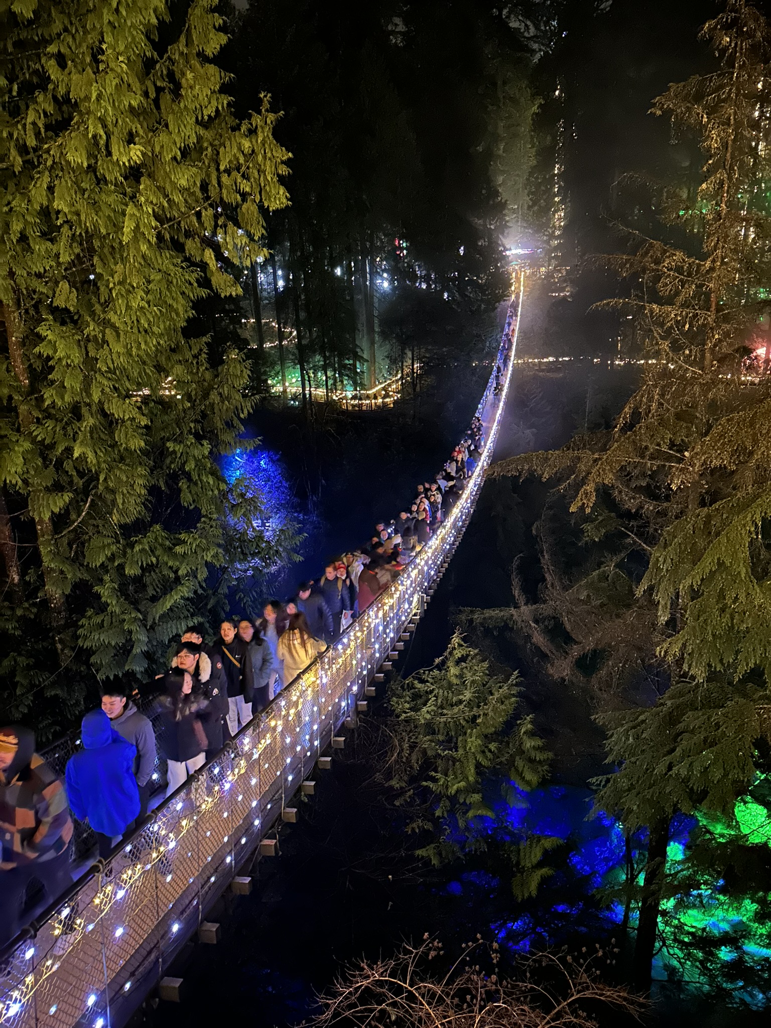 Capilano Canyon Lights