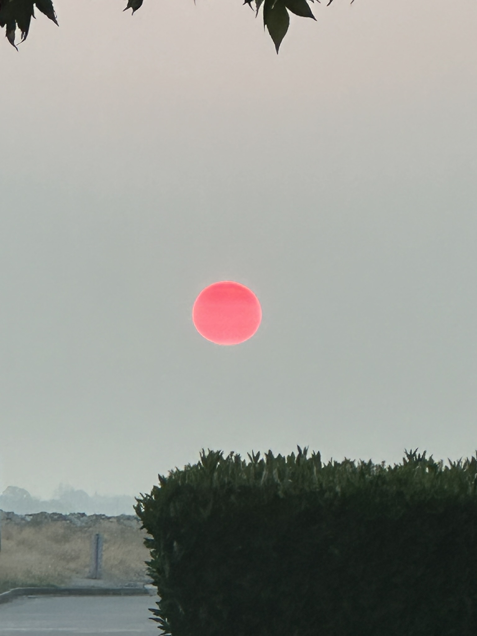 Red Sun